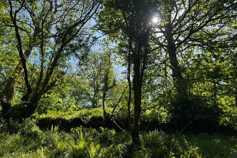 Land for sale, Milton Combe, Yelverton