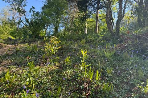 Land for sale, Milton Combe, Yelverton