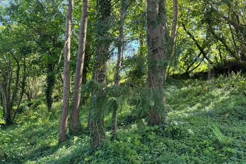 Land for sale, Milton Combe, Yelverton