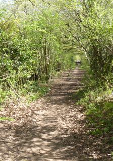 Land for sale, Trellech, Monmouth, NP25