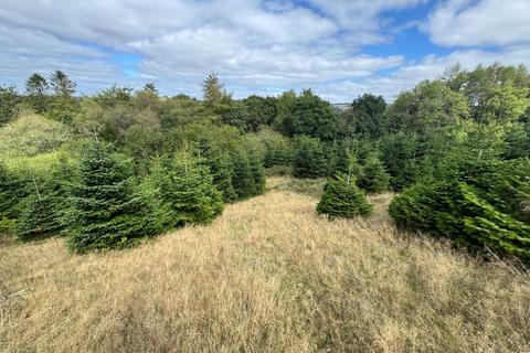 Leisure facility for sale, Christmas Tree Plantation, Higher Grants, Exebridge, Dulverton, Somerset