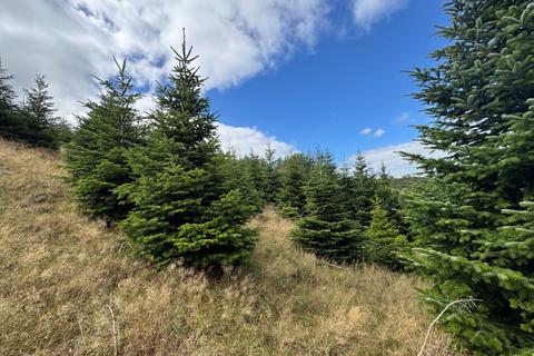 Leisure facility for sale, Christmas Tree Plantation, Higher Grants, Exebridge, Dulverton, Somerset