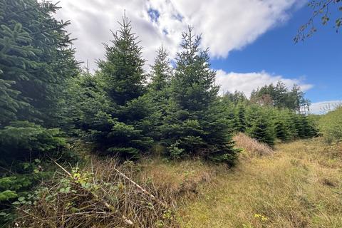 Leisure facility for sale, Christmas Tree Plantation, Higher Grants, Exebridge, Dulverton, Somerset