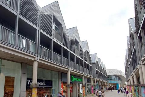 1 bed flat/apartment for rent in Gosnold Street IP33