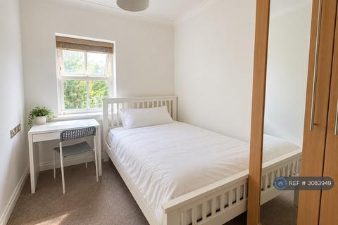1 bed room for rent in Albany Gardens, Colchester, CO2