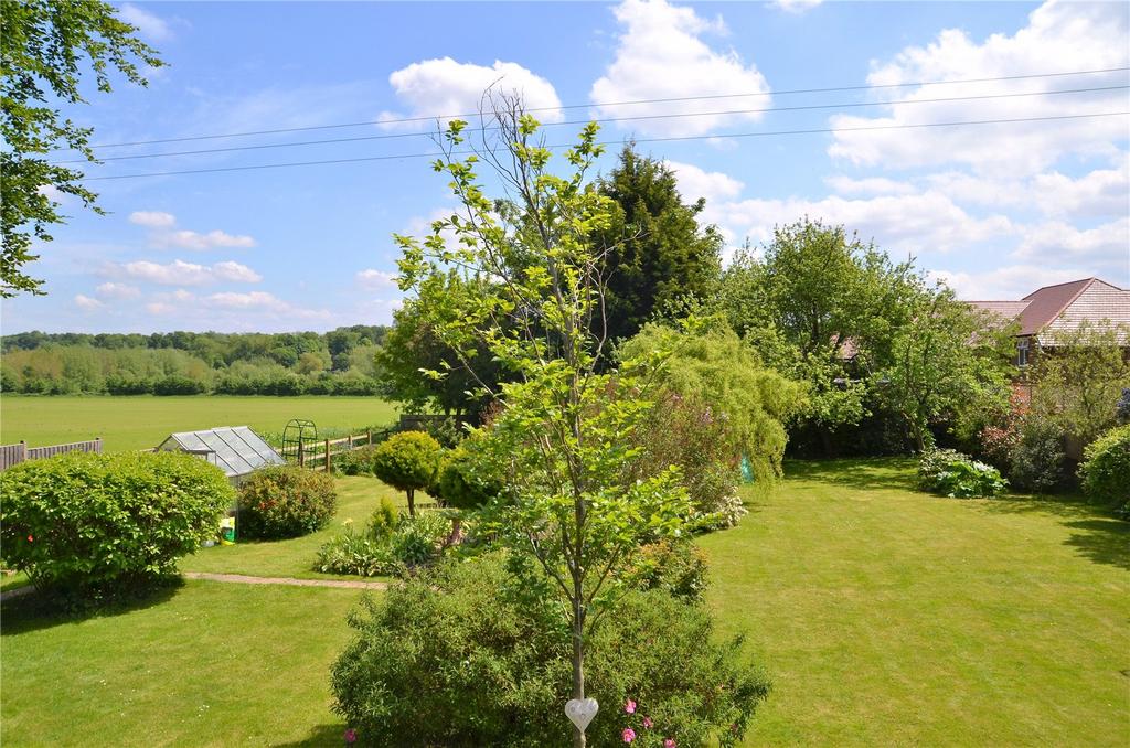 Garden and View