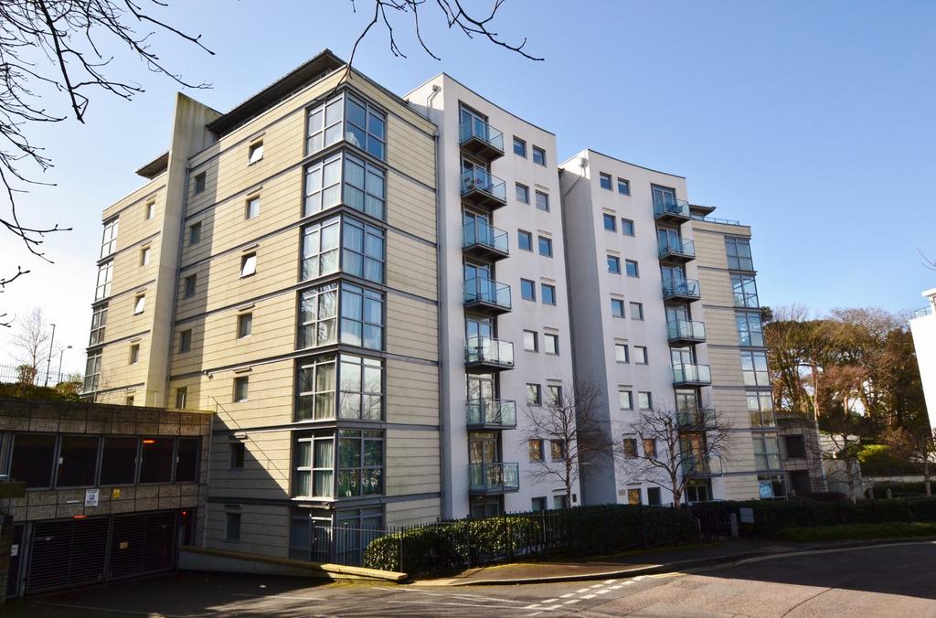 Block (Main)