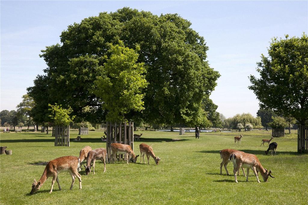 Bushy Park