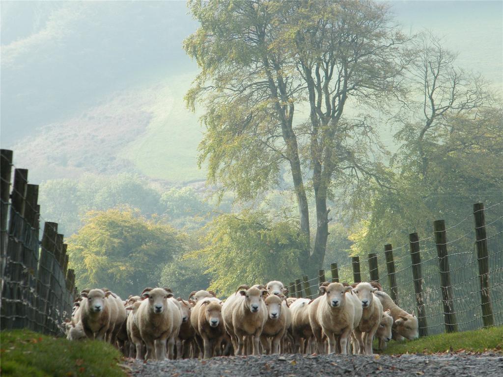 Horsecombe Farm (via Greenslade Taylor-Hunt)