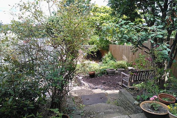 Garden view, garden