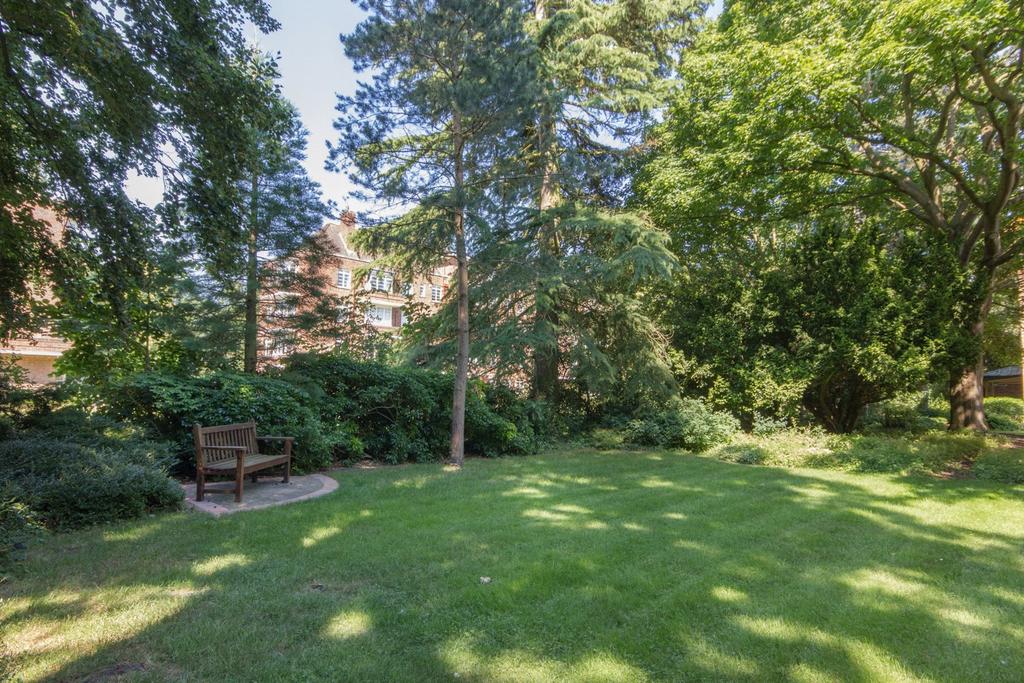 Communal Garden