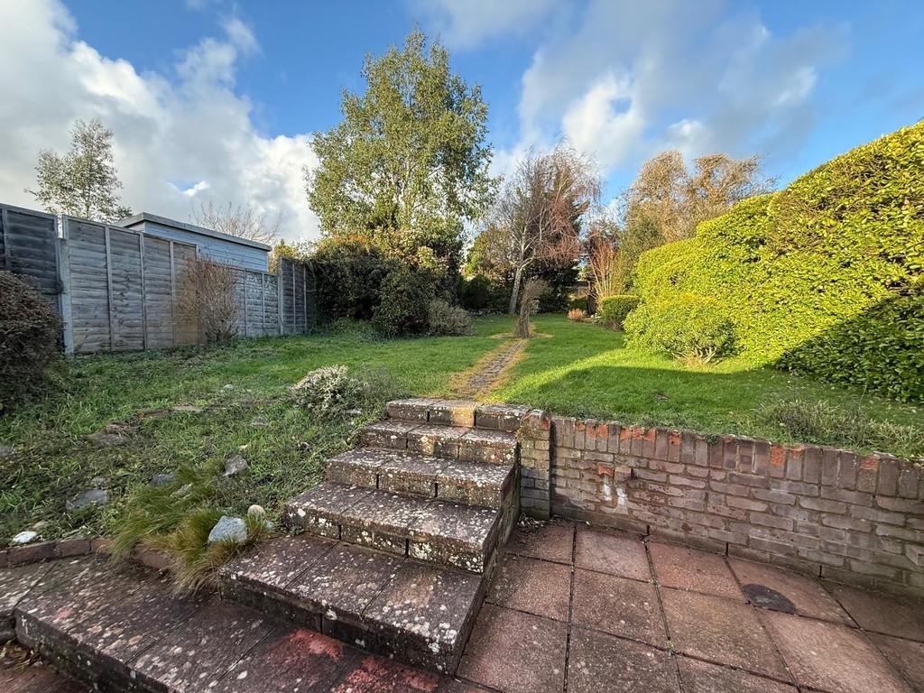 Back Garden 1
