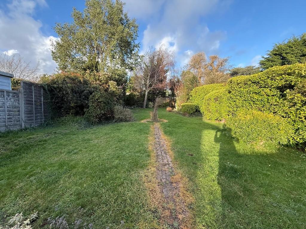 Back Garden