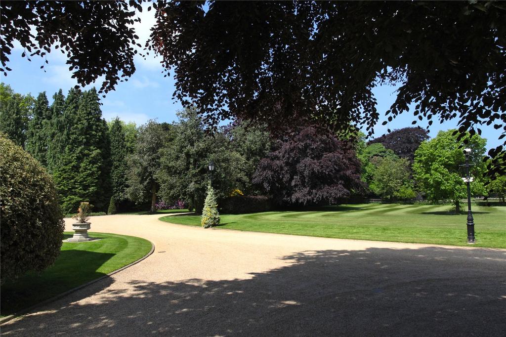 Grounds