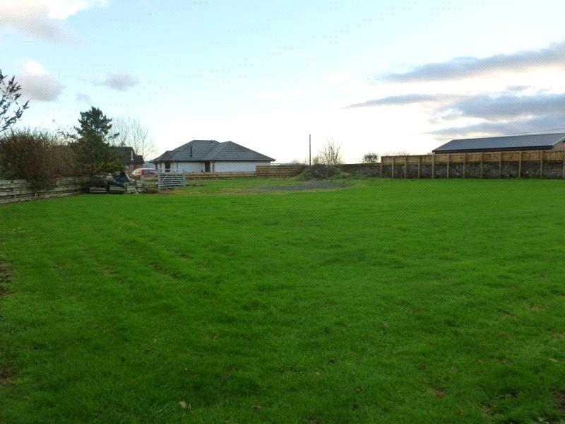 Site View