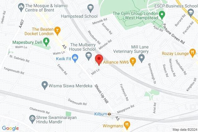Google Maps Image