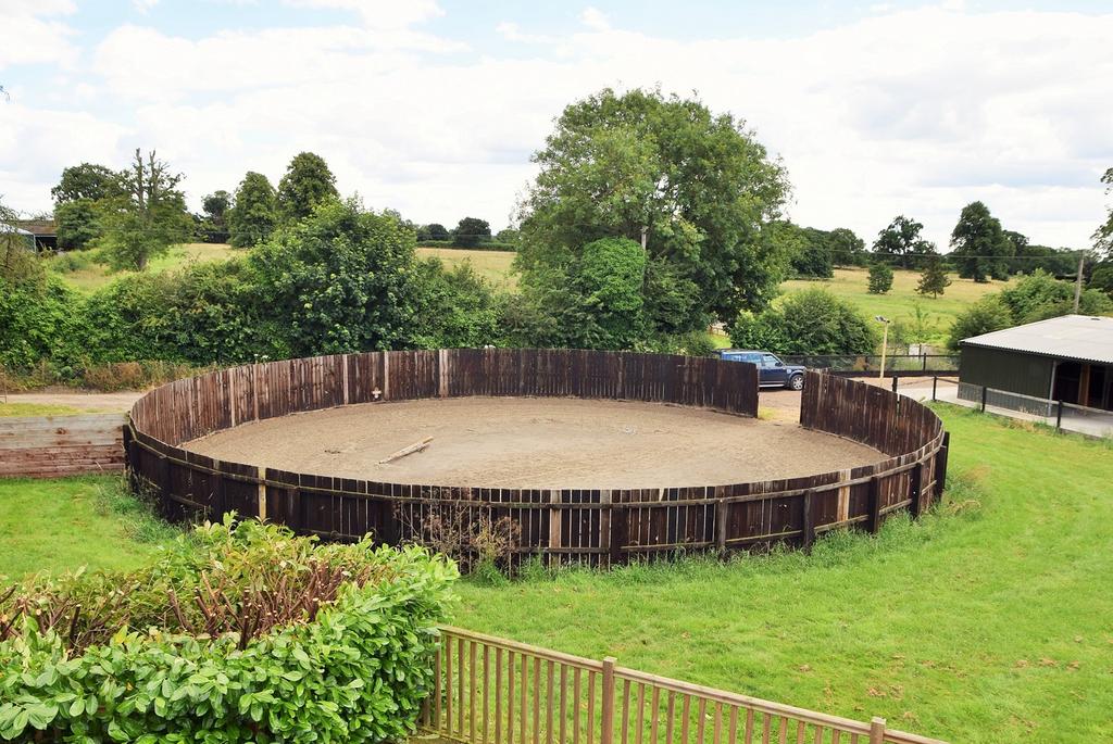 Lunge ring