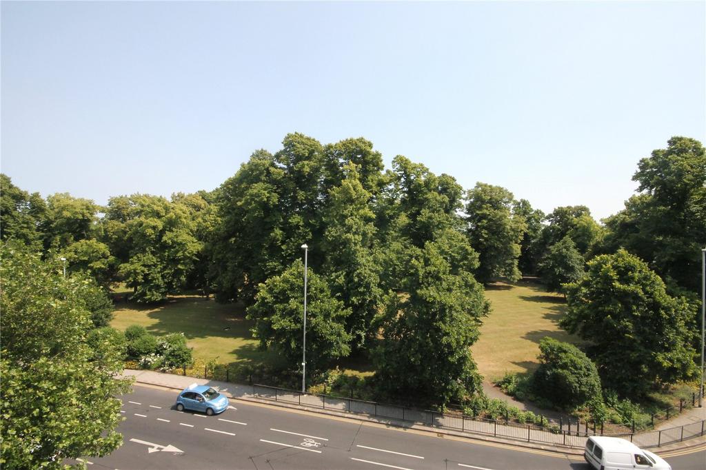 View From Window
