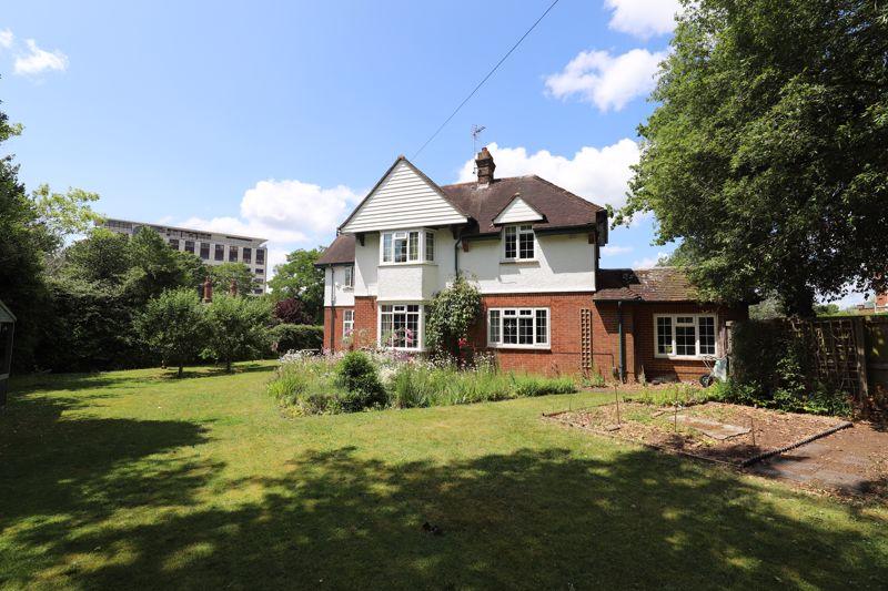 Back garden