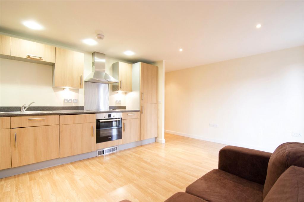 Kitchen/Living Area