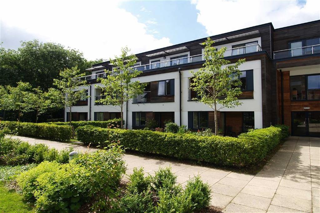 Bed Room Apartmrnt Haslemere Bed Room Apartmrnt Haslemere