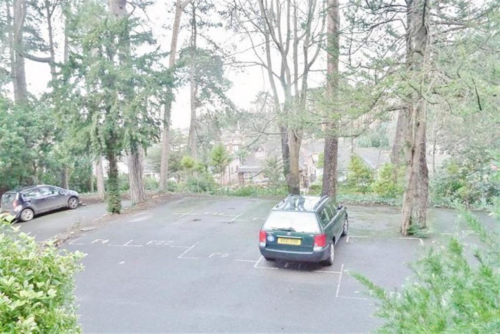 Parking Area