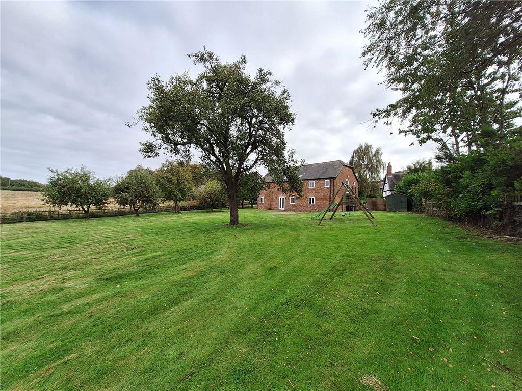 Picture 20