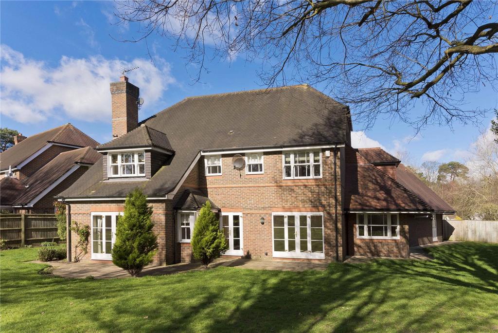 Back Of Property