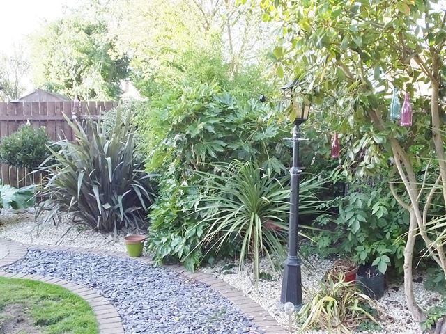 Rear garden