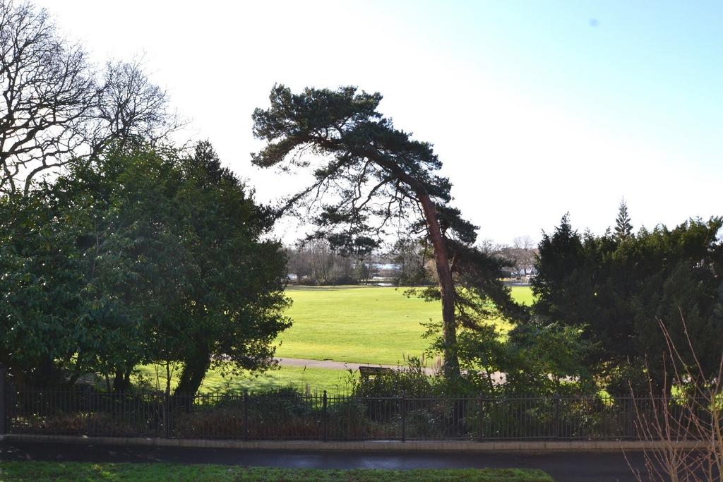 Poole Park Views