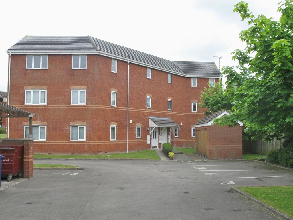 Main Image