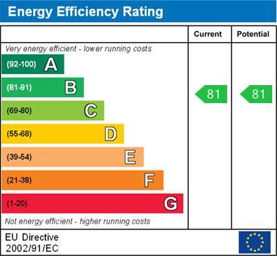 Energy Efficiency