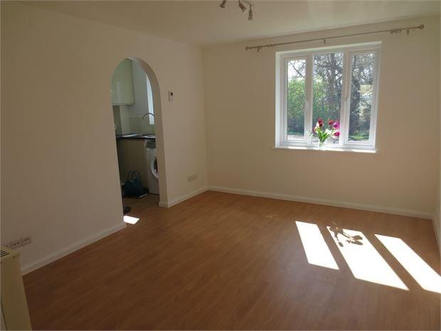 Photo10