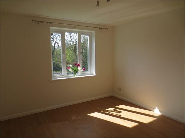 Photo11