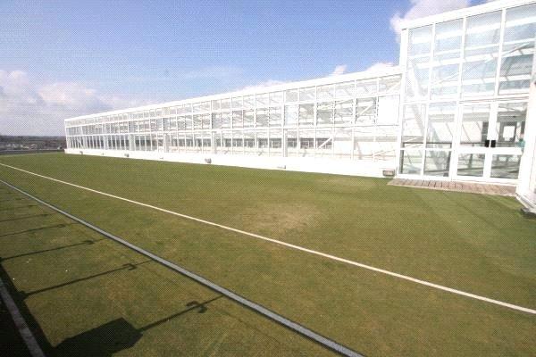 Roof Terrace