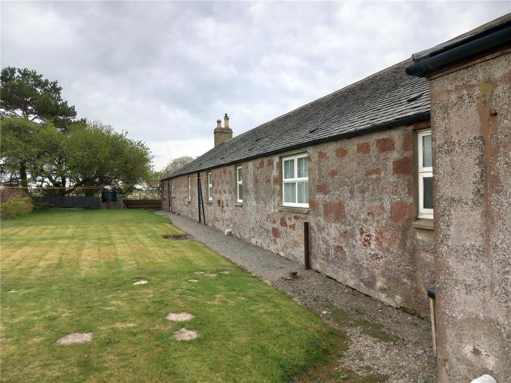 Rear Garden Area