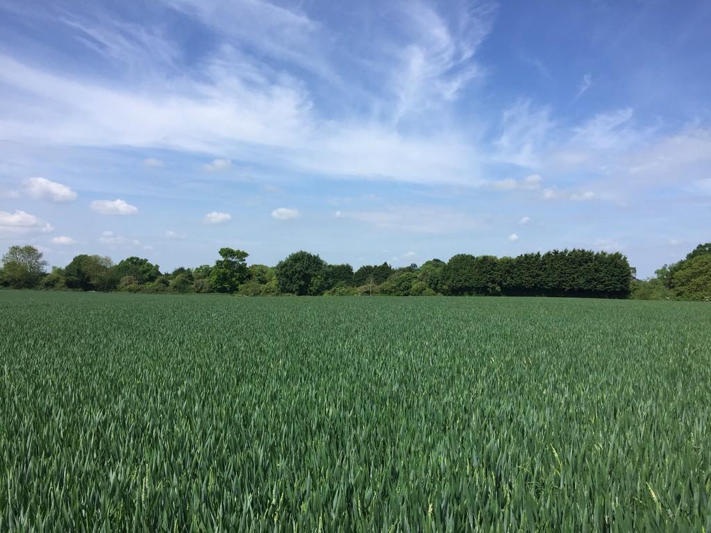 Wickham Skeith, Nr Eye Land £710,000