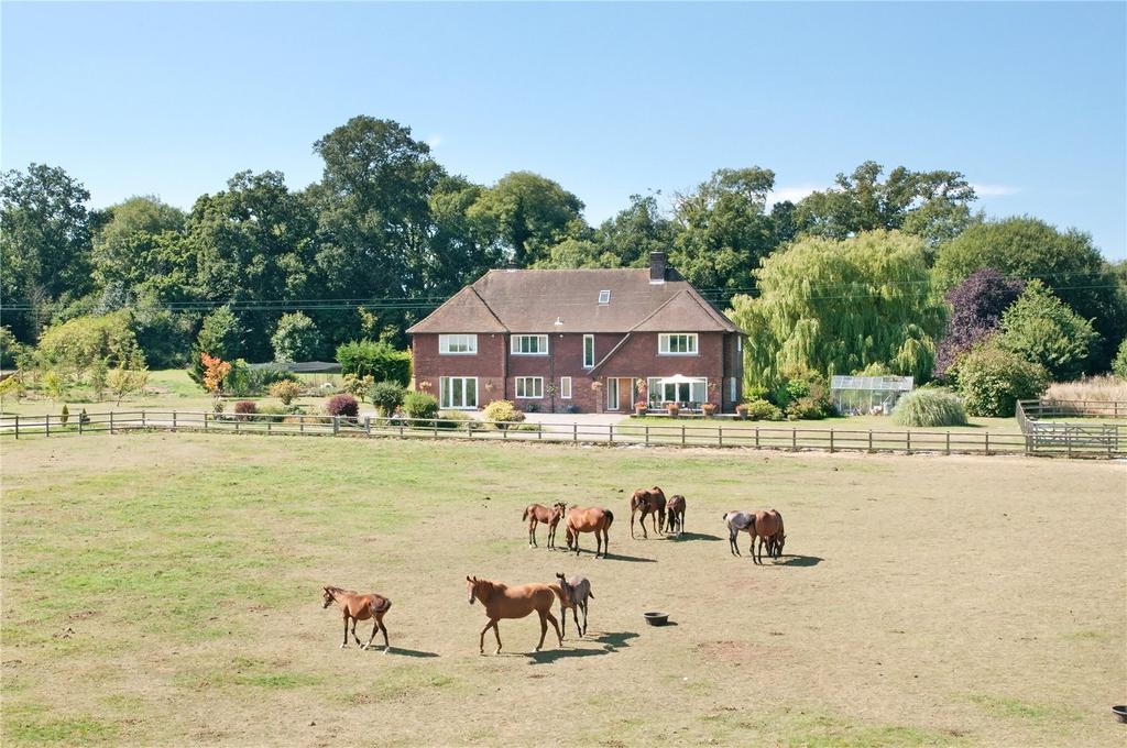 Locks Lane, Sparsholt, Winchester, Hampshire 7 bed house £2,500,000
