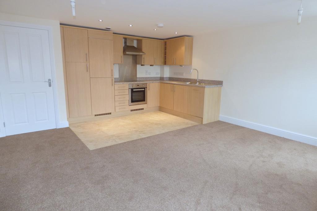 Kitchen/Living Room