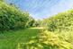 Additional image 16 of LUDBOROUGH ROAD, NORTH THORESBY