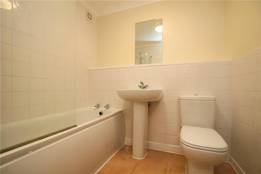 Picture 5