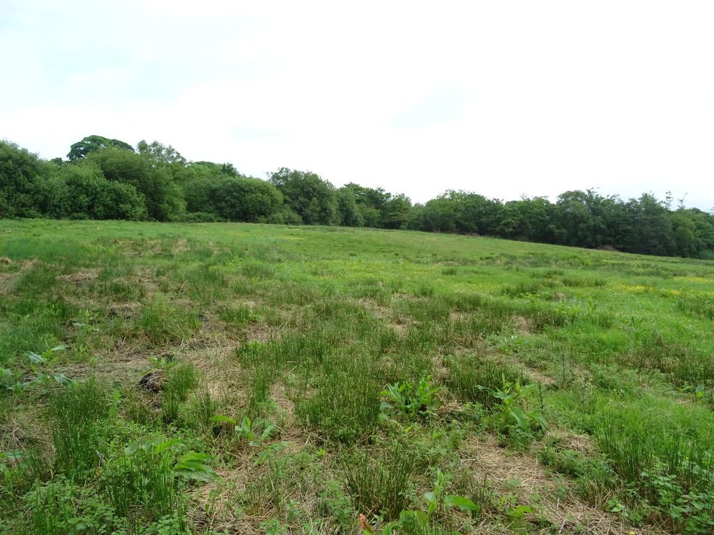 Approximately 11.65 Acres of Land at Groeswen, Caerphilly Land £130,000