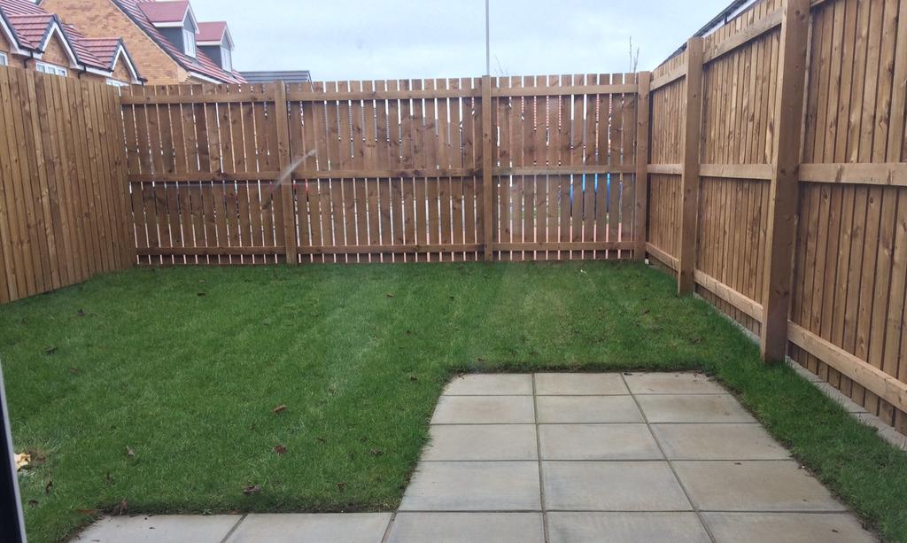 Back Garden