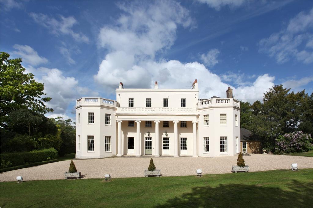 Nazeing, Essex, EN9 12 bed detached house for sale £6,500,000