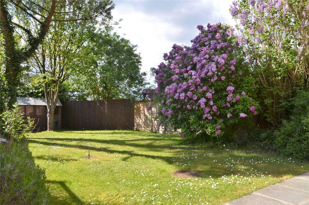 Back Garden