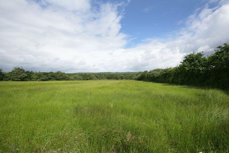 Properties for Sale in BEAWORTHY, Beaworthy Devon