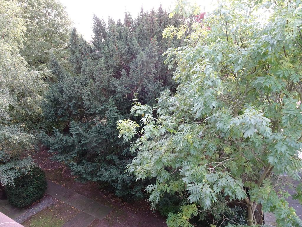 Communal Garden