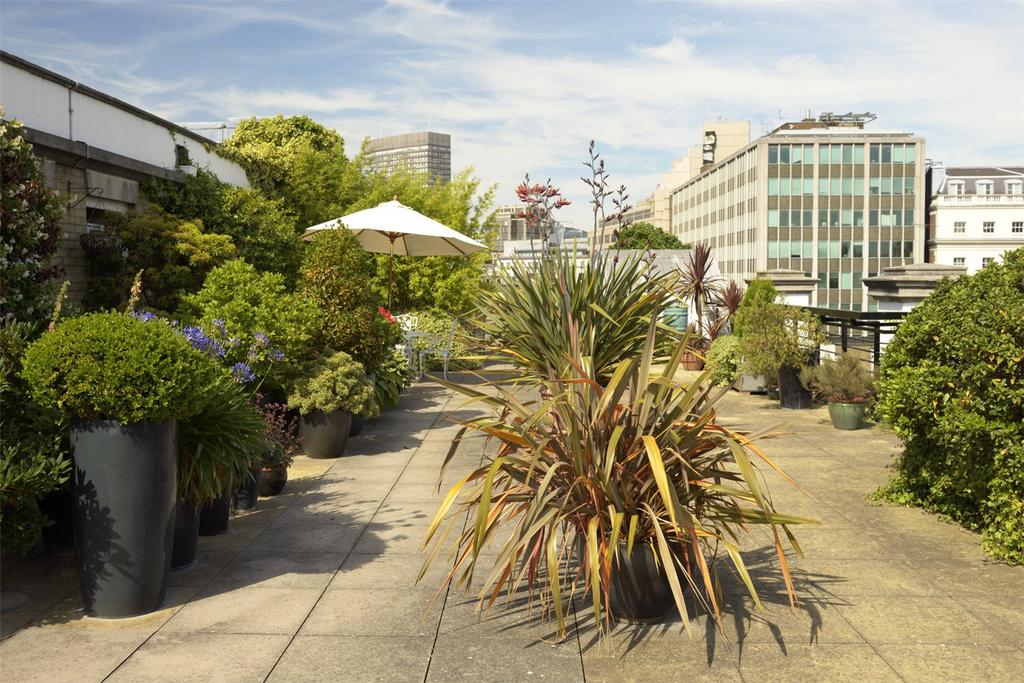 Communal Roof Top