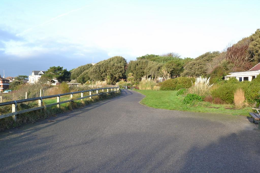 Area Image