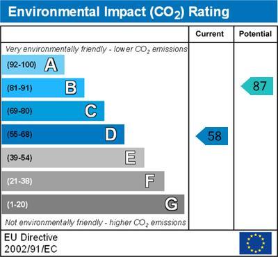 Environmental Impact